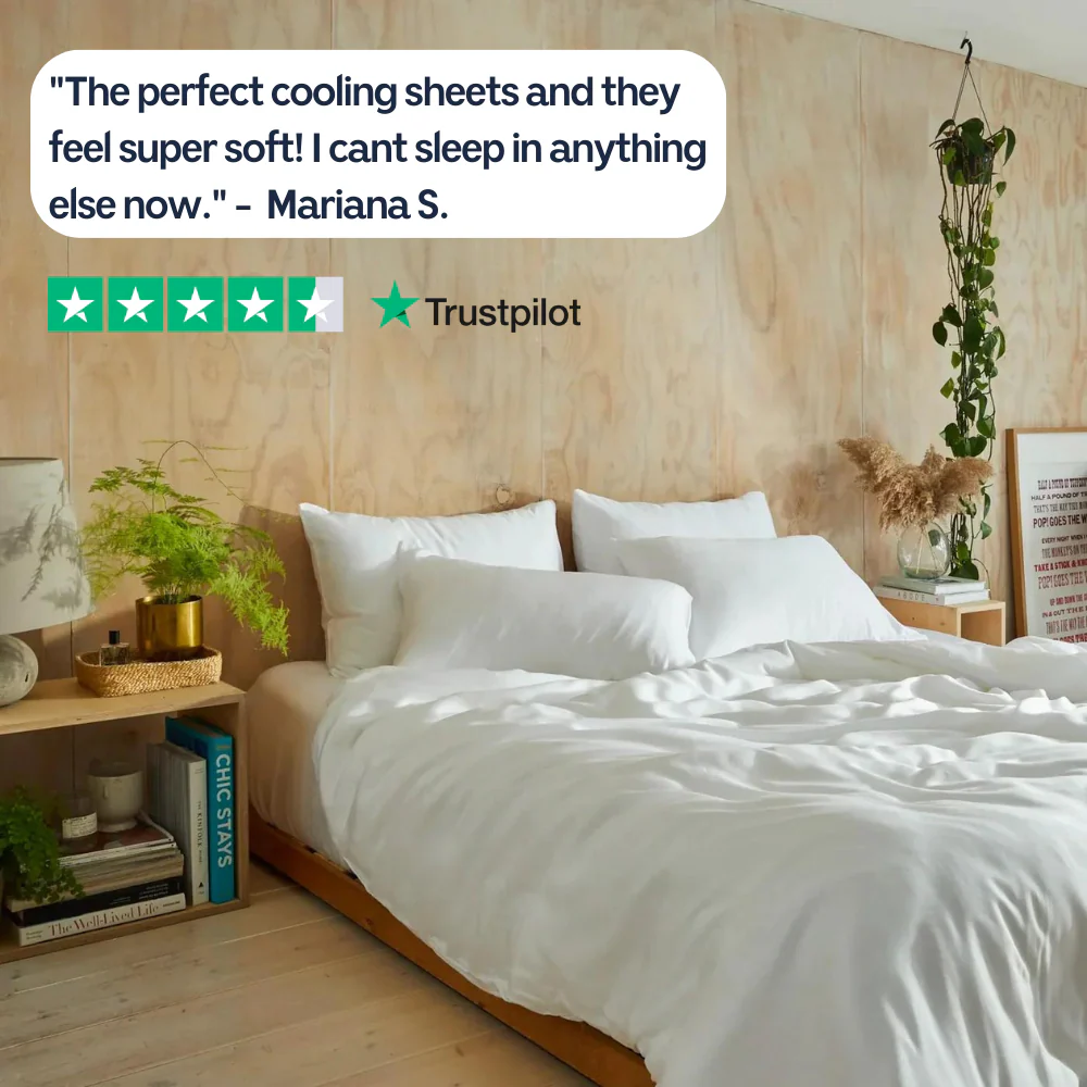 2 x Eucalyptus Silk Pillow Cases EU - Image 3